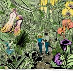 d Amir“ im Botanischen Garten in Paris